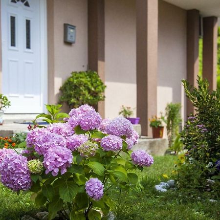 Kuca Bulajic Apartment Budva Bagian luar foto
