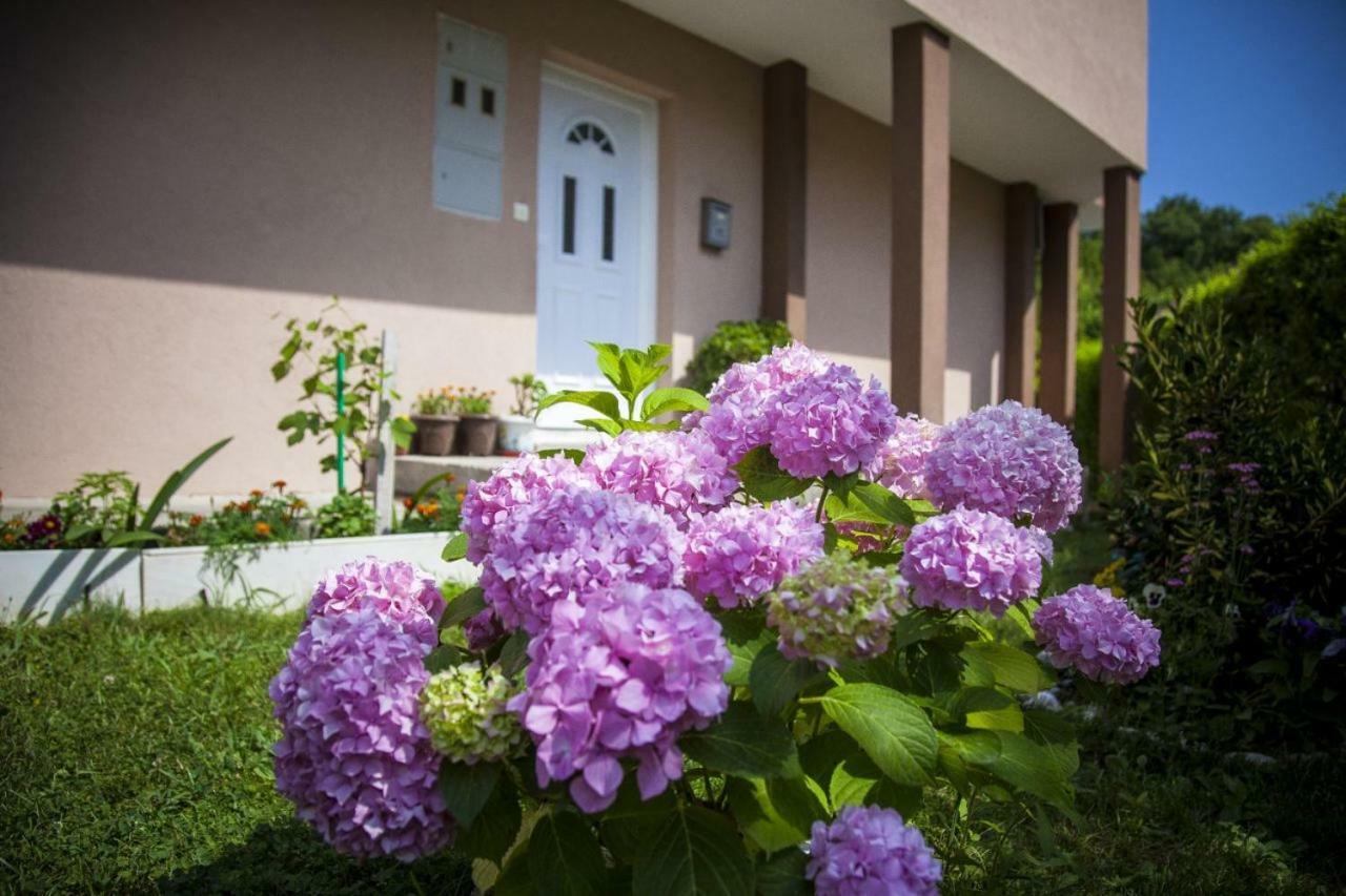 Kuca Bulajic Apartment Budva Bagian luar foto